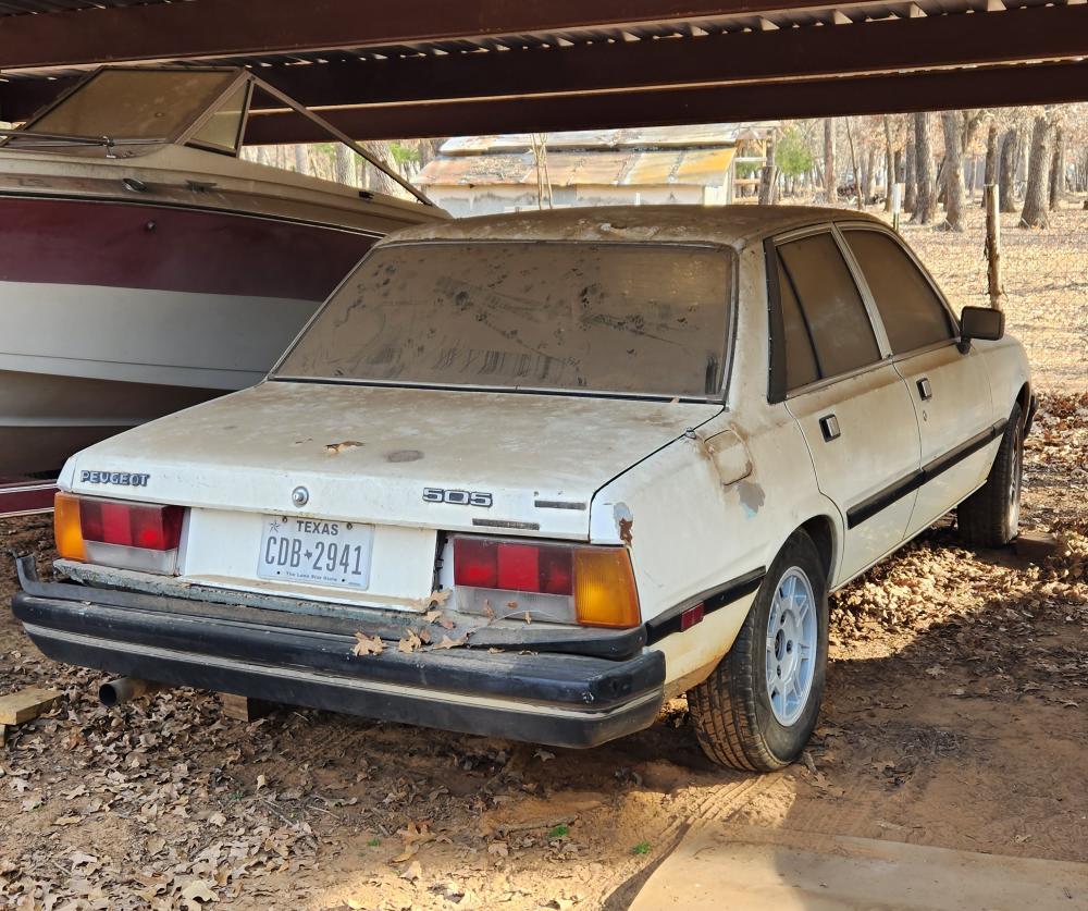 Peugeot 505 -1.jpg