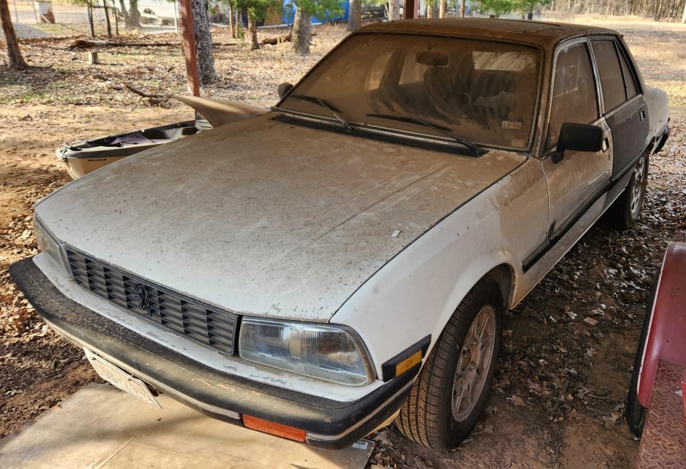 Peugeot 505 -3.jpg